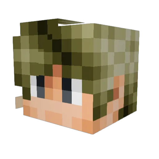 X_Simplicity_X Minecraft avatar head, 3D render