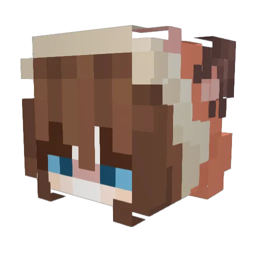 X_StuffyLover_X Minecraft avatar head, 3D render