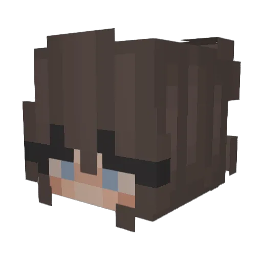 X_TULY_X Minecraft avatar head, 3D render