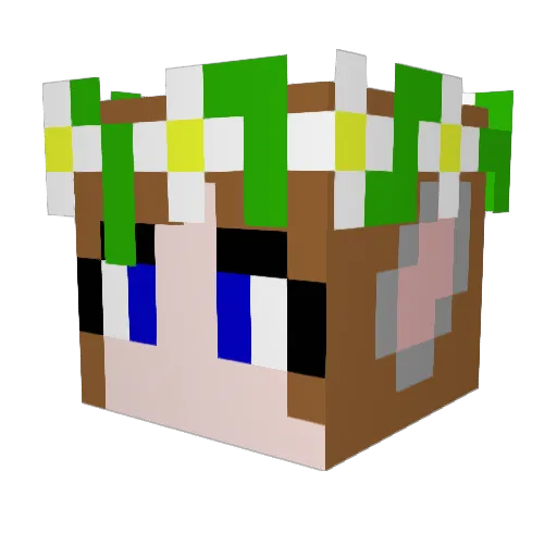 X_Teal1 Minecraft avatar head, 3D render