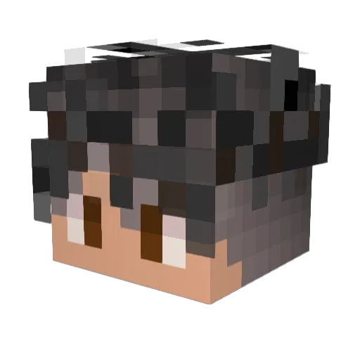 X_Vipes Minecraft avatar head, 3D render
