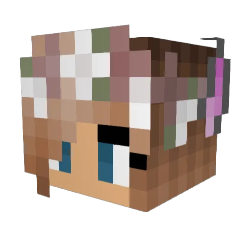 X_Vixxi_X Minecraft avatar head, 3D render