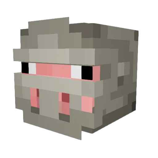 X_WonderBread_X Minecraft avatar head, 3D render