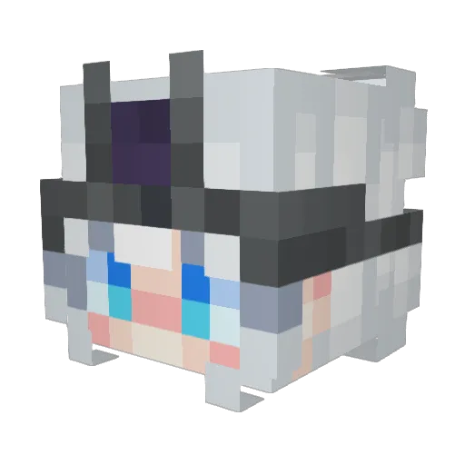 X__XBOT Minecraft avatar head, 3D render