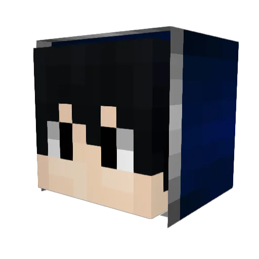 X_aws323_X Minecraft avatar head, 3D render