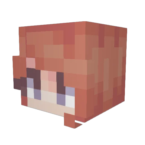 X_darkslay3r69_X Minecraft avatar head, 3D render