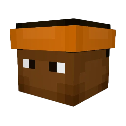 X_imedina6_X Minecraft avatar head, 3D render