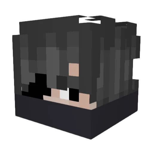 X_n0o Minecraft avatar head, 3D render
