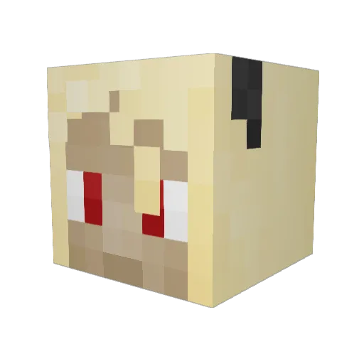 X_sherry Minecraft avatar head, 3D render