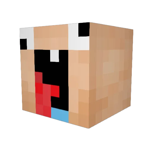 X_tiangg Minecraft avatar head, 3D render