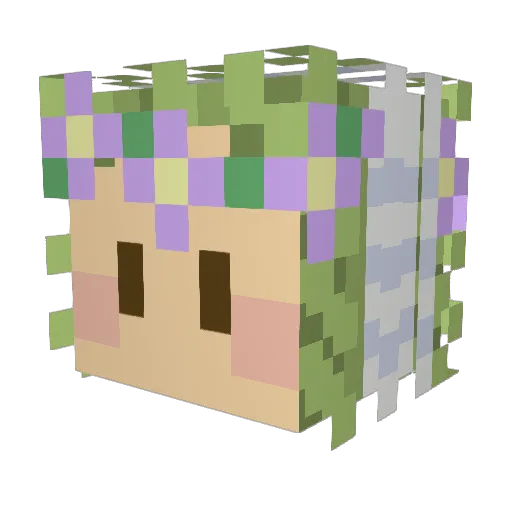 X_viral_X Minecraft avatar head, 3D render