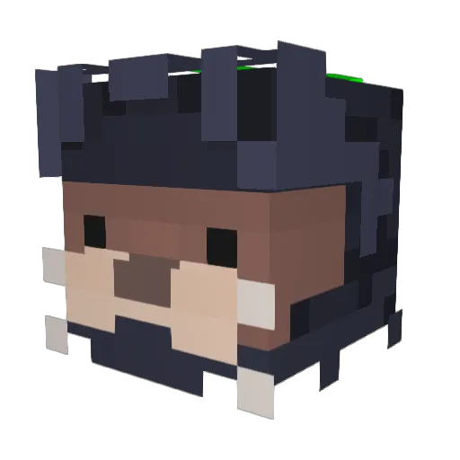 Minecraft-Avatar von X_xHappyx_X: Kopf als 3D-Render