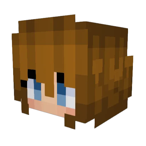 XaKythe Minecraft avatar head, 3D render