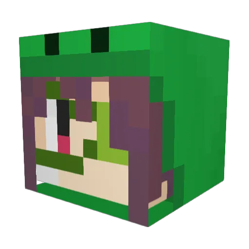 Xa_Xa_ Minecraft avatar head, 3D render