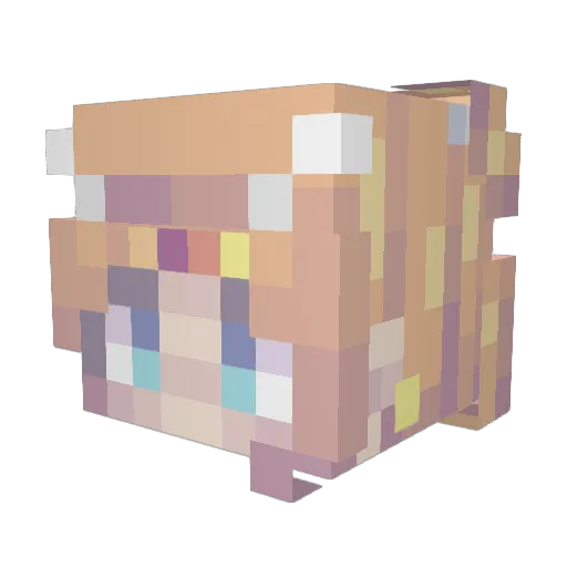 Xa_s_yX Minecraft avatar head, 3D render