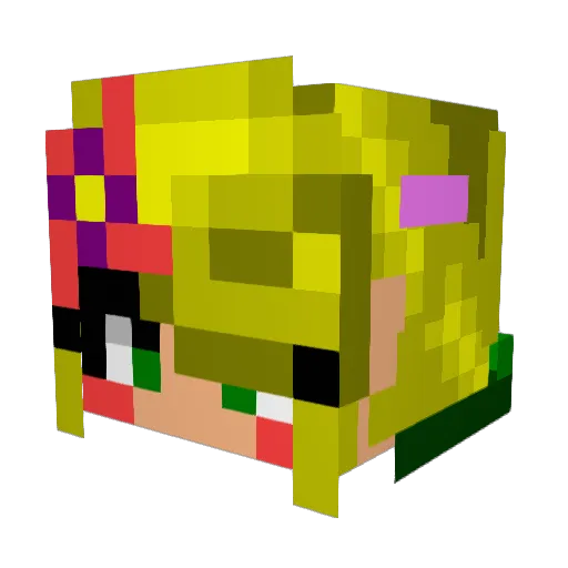 XaalCarlson Minecraft avatar head, 3D render