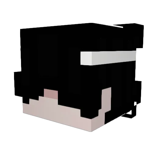 Xachiey Minecraft avatar head, 3D render