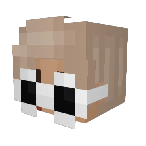 Xadan Minecraft avatar head, 3D render