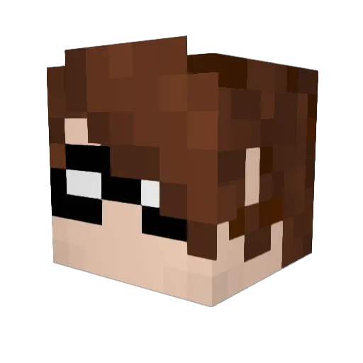 Xaden69 Minecraft avatar head, 3D render