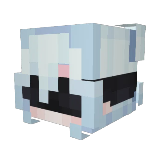 Xae1in Minecraft avatar head, 3D render