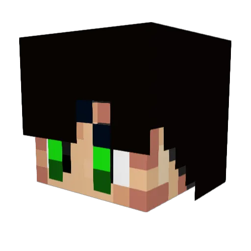 Xaede Minecraft avatar head, 3D render