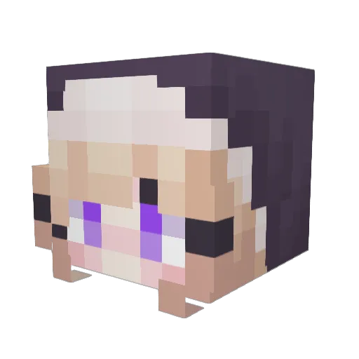 Xaeir0 Minecraft avatar head, 3D render