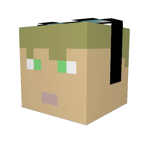 Xaenon4 Minecraft avatar head, 3D render