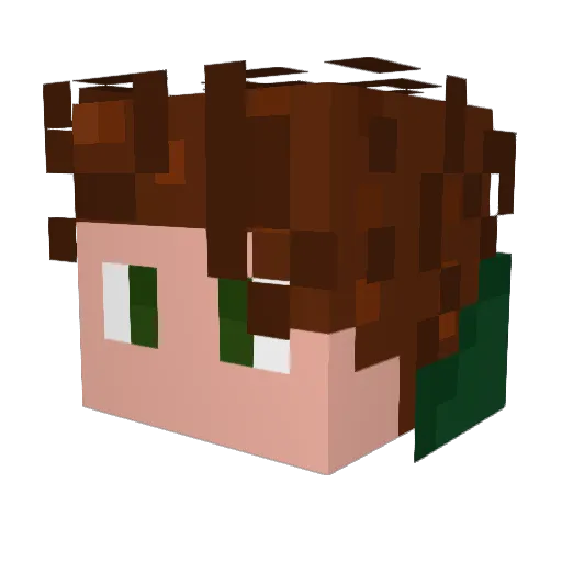 Xafss Minecraft avatar head, 3D render