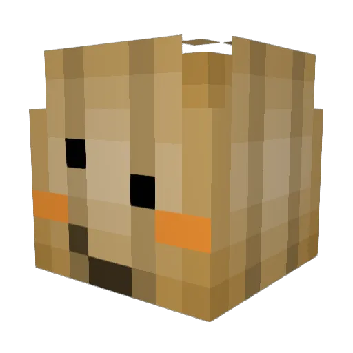 Xaiel326 Minecraft avatar head, 3D render