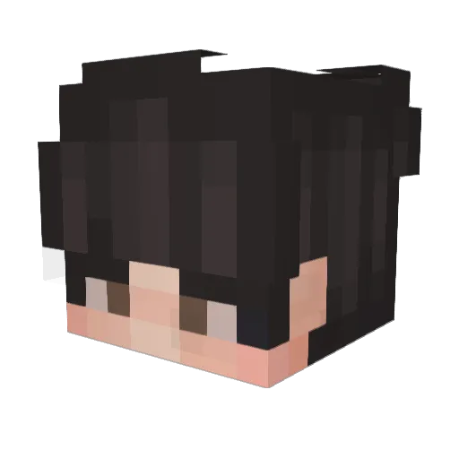 Xalitus1999 Minecraft avatar head, 3D render
