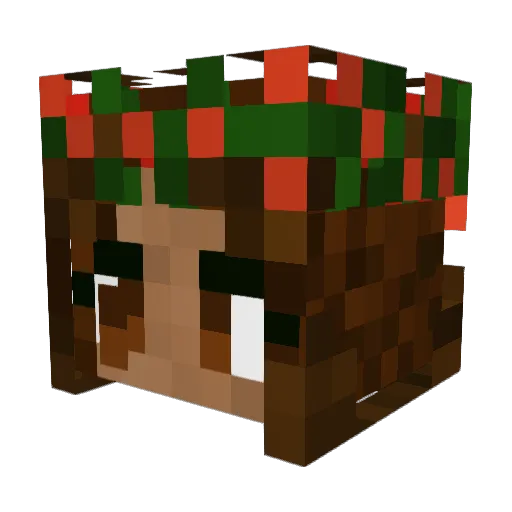 Xallesia Minecraft avatar head, 3D render