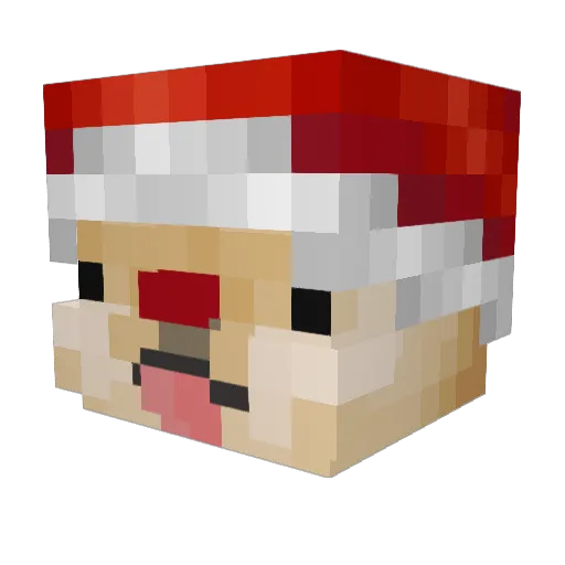 Xaltri Minecraft avatar head, 3D render