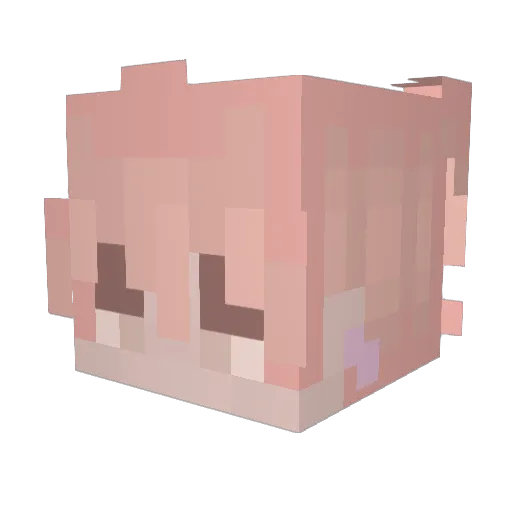 Xalu__ Minecraft avatar head, 3D render