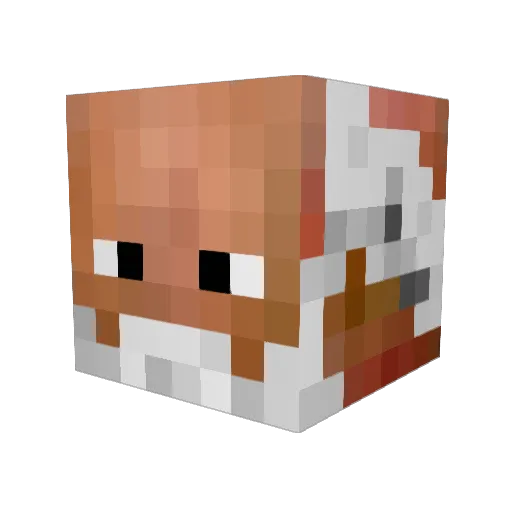 Xalximik Minecraft avatar head, 3D render