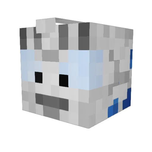 Xamax123 Minecraft avatar head, 3D render
