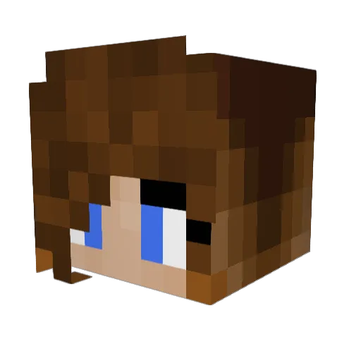 Xames69 Minecraft avatar head, 3D render