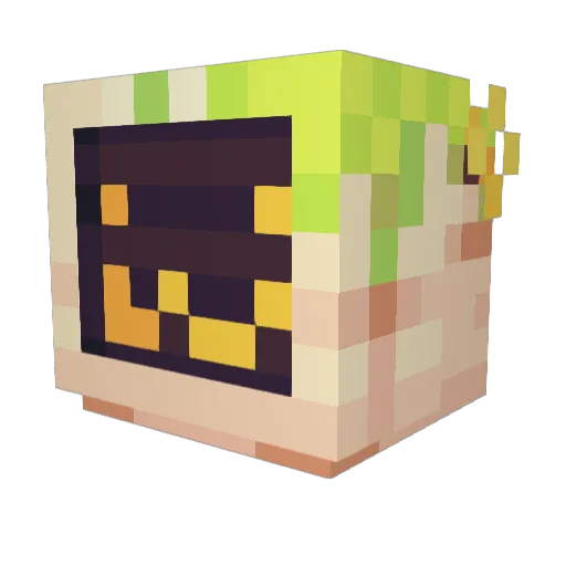 Xammar76 Minecraft avatar head, 3D render