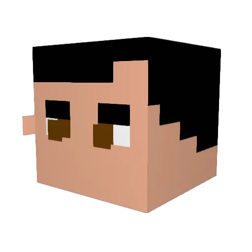 Xampion13 Minecraft avatar head, 3D render