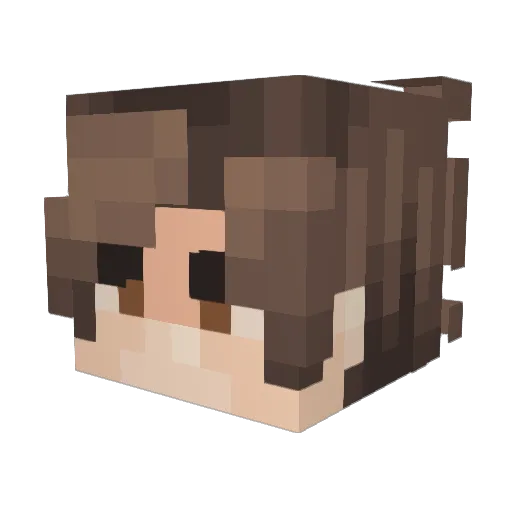 XamsQ Minecraft avatar head, 3D render