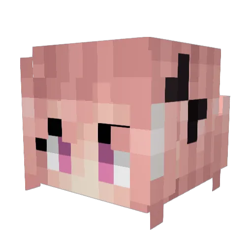 Xamster04 Minecraft avatar head, 3D render