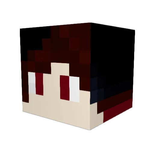 Xan55 Minecraft avatar head, 3D render