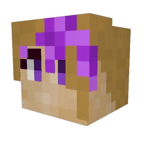 XanGaming020 Minecraft avatar head, 3D render