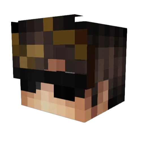XanarchyNL Minecraft avatar head, 3D render