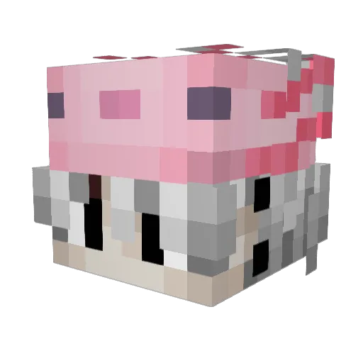 XandMe Minecraft avatar head, 3D render