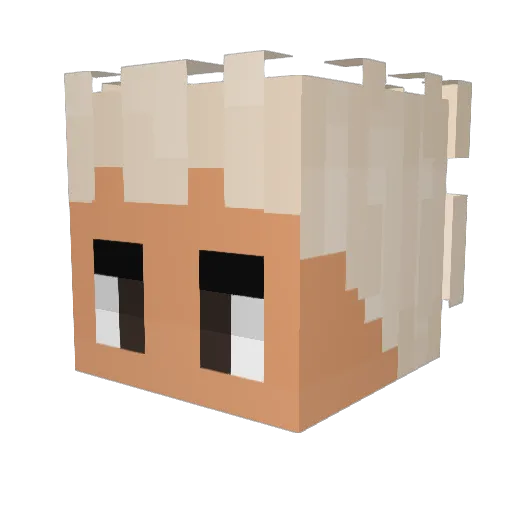 Xandao93 Minecraft avatar head, 3D render