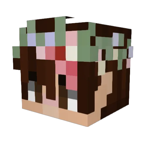 Xandar95 Minecraft avatar head, 3D render