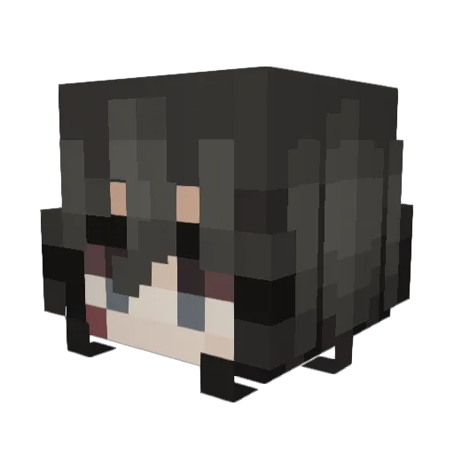 Xandebinho Minecraft avatar head, 3D render