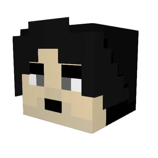 Xander0911 Minecraft avatar head, 3D render