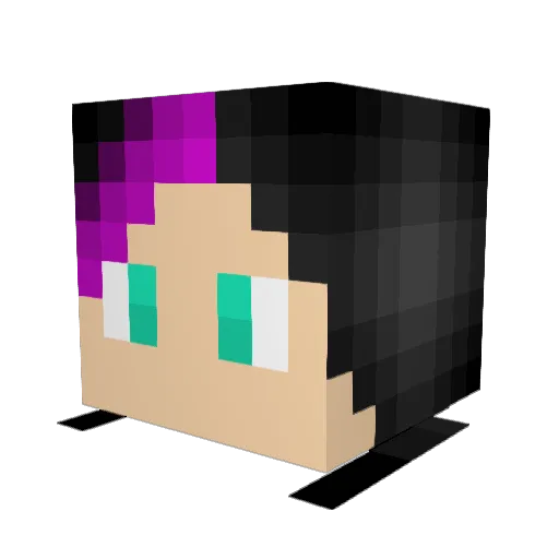 Xander0970 Minecraft avatar head, 3D render