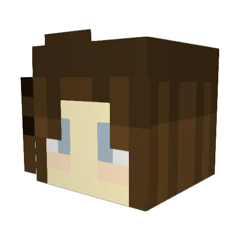 Xander1980 Minecraft avatar head, 3D render